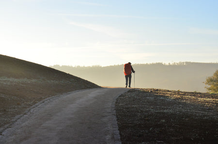 Camino Essentials