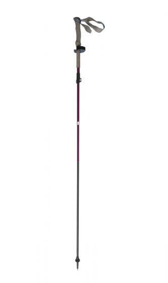 Fold Lock Walking Pole