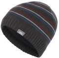 Ray Beanie für Herren